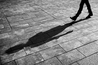 Chasing My Shadow